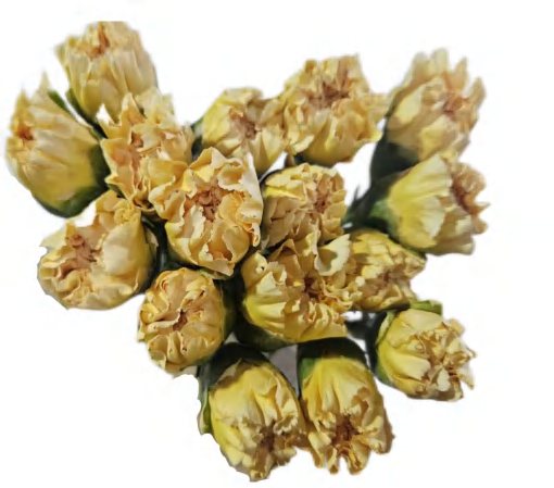 Luoshen