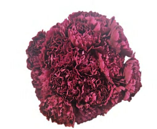 Red Silk