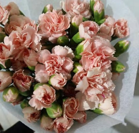 Baby Pink