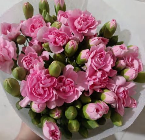 Pearl Pink