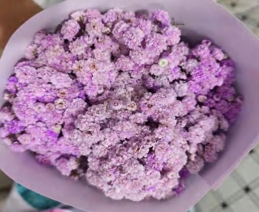 Лавандовая