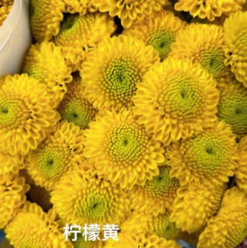 Lemon Yellow