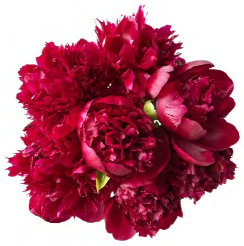 Magic Red