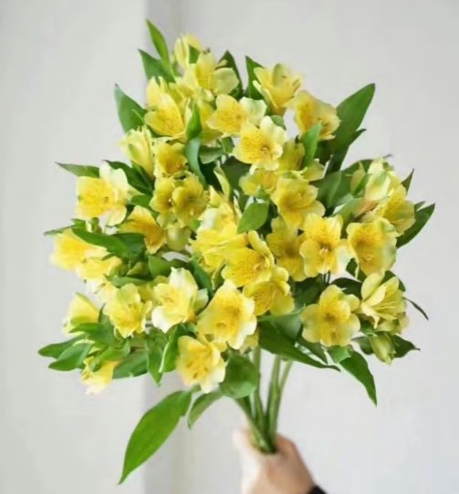 Желтая