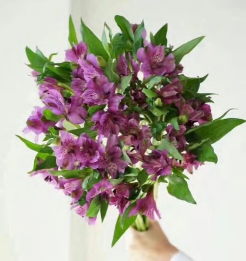 Dark Purple