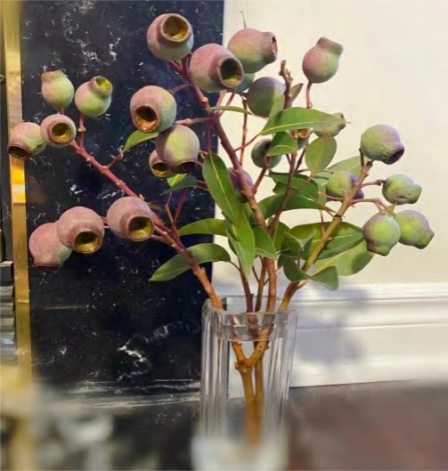 Zombie Fruit