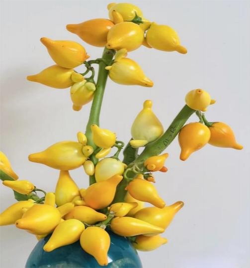 Golden Fruit