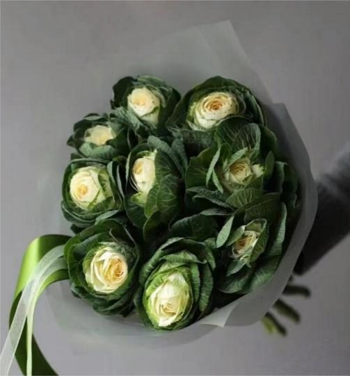 Brassica White